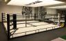 Boxing Rings(No Base)