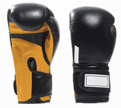 Elite Boxing Gloves